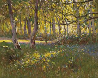 Frederick Hall, R.B.C. - A sunlit wood