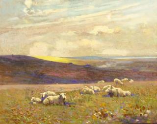 Frederick Hall - Grazing Sheep