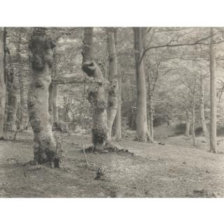 Frederick Henry Evans - \'Epping\'