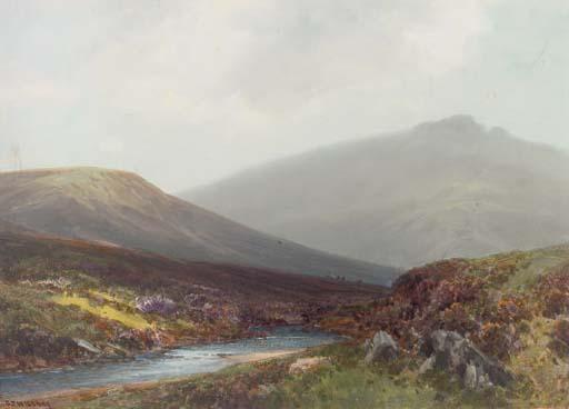 Frederick John Widgery - Dunkery Beacon, Exmoor