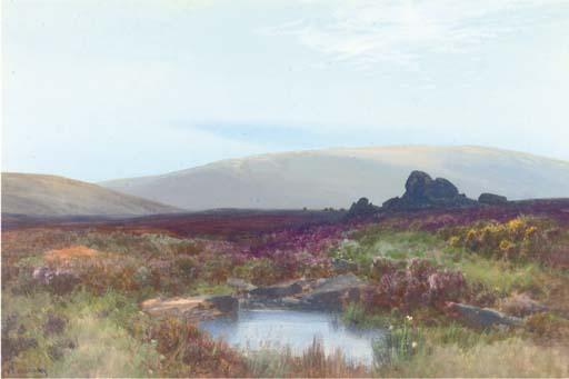 Frederick John Widgery - The moors near Teign Head, Dartmoor
