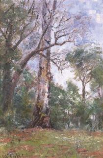 Frederick Mccubbin - Bush Study, Macedon