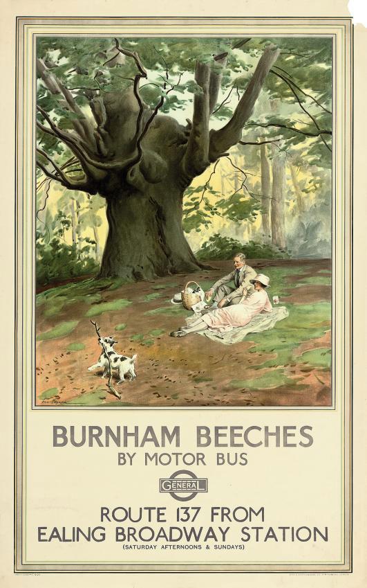 Frederick Pegram - Burnham Beeches By Motor Bus