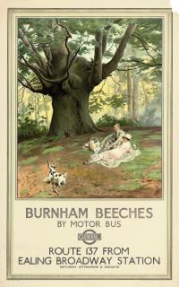 Frederick Pegram - Burnham Beeches By Motor Bus