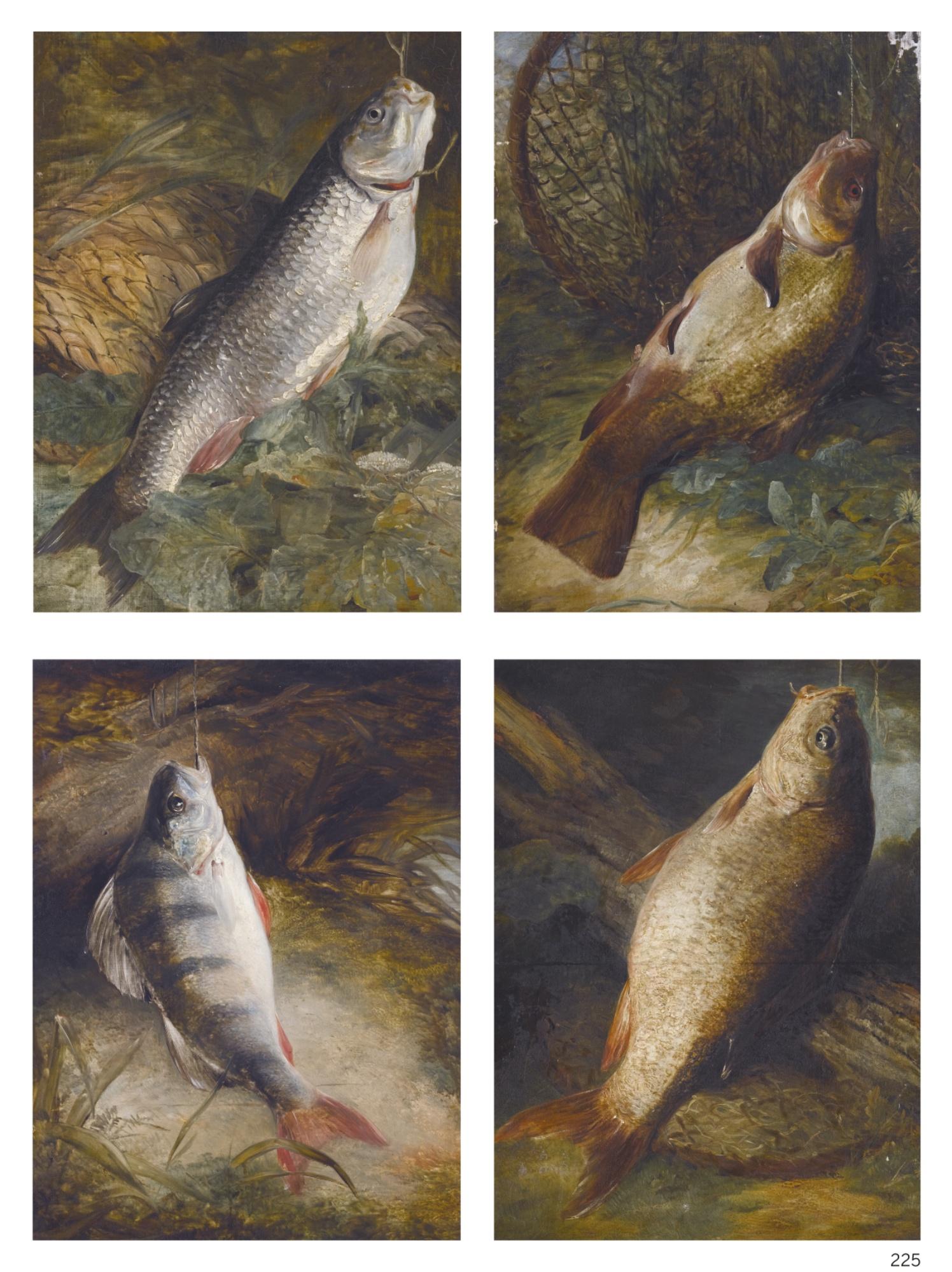 Frederick Richard Lee, R.A. - Four Studies Of English Freshwater Fish: Chub, Tench, Perch And Carp