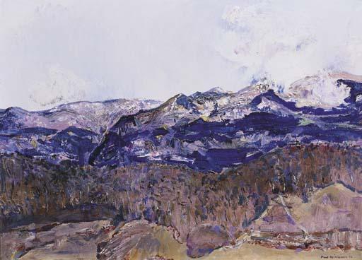Frederick Ronald Williams - Snowy Mountains
