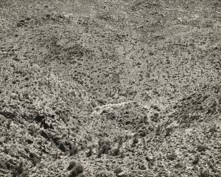 Frederick Sommer - \'Arizona Landscape\'