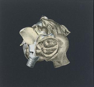 Frederick Sommer - Collage