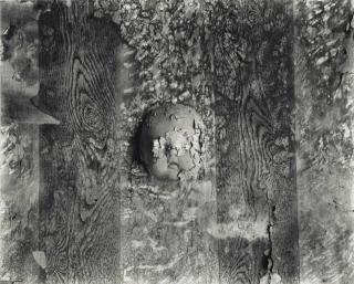 Frederick Sommer - Medallion, 1948