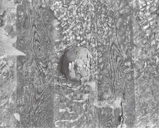 Frederick Sommer - Medallion