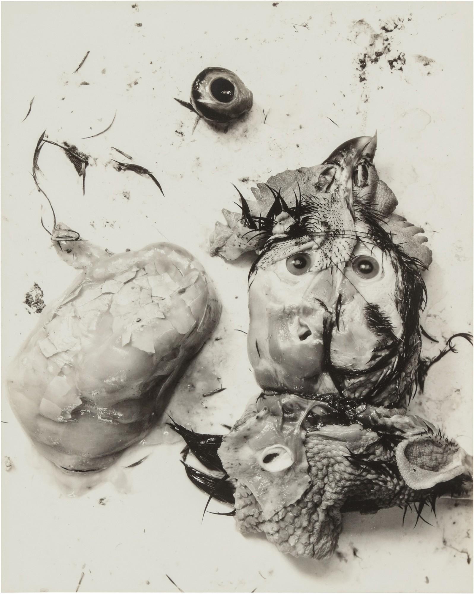 Frederick Sommer - \'Negative #66\'