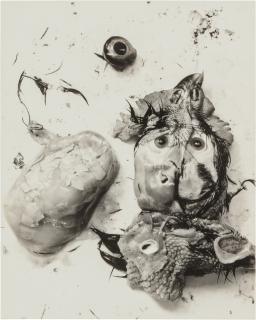 Frederick Sommer - \'Negative #66\'