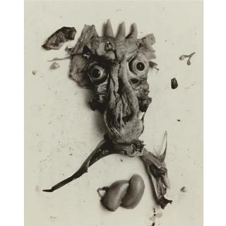 Frederick Sommer - \'Negative #68\'