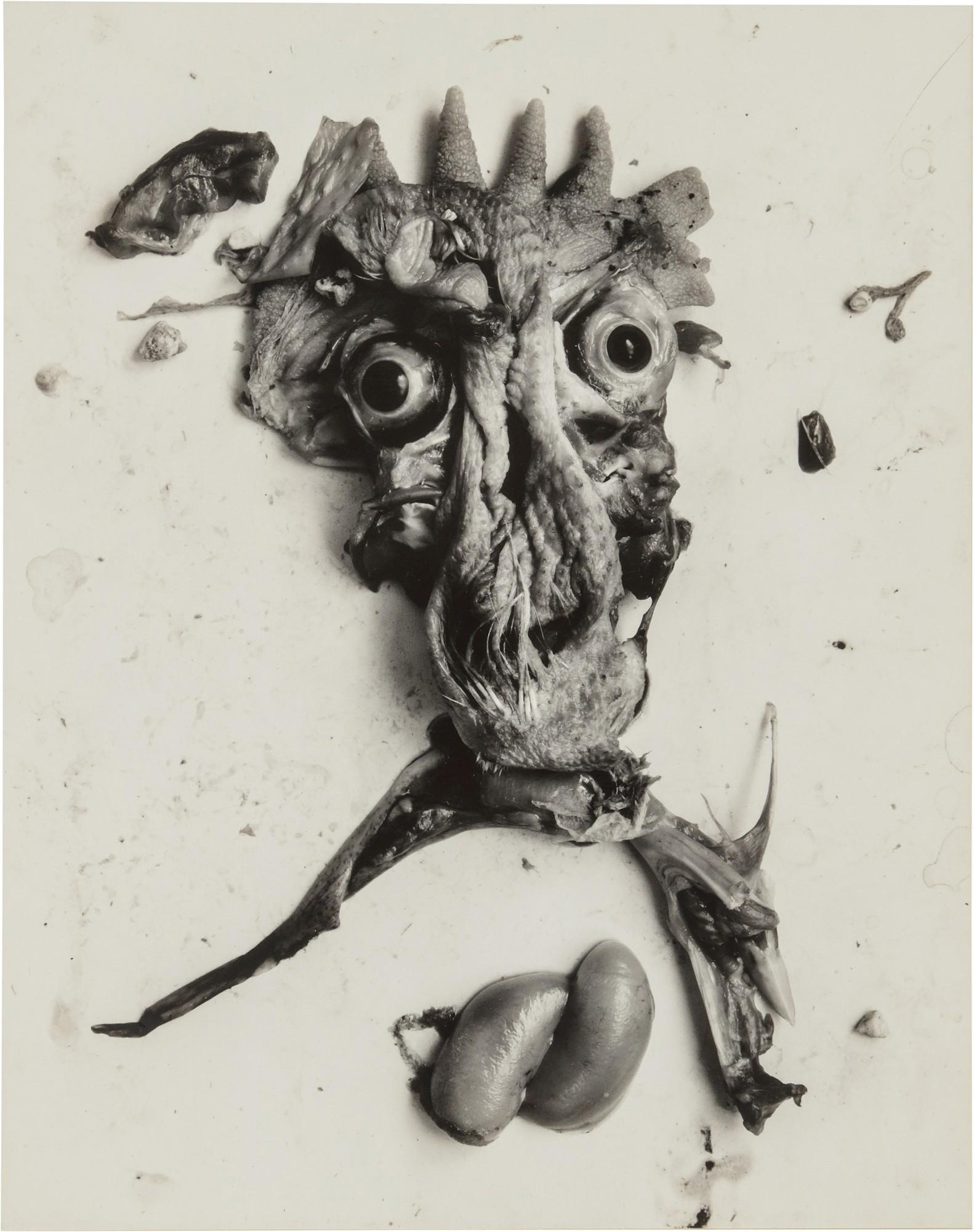 Frederick Sommer - \'Negative #68\'