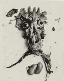 Frederick Sommer - \'Negative #68\'