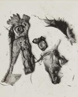 Frederick Sommer - \'Negative #70\' (Chicken Parts)