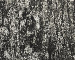 Frederick Sommer - Sumaré, 1951