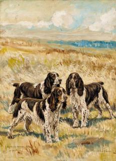 Frederick Thomas Daws - Champion Winning Number of Solway, Champion Dry Toast and  Champion Nimble of Hamsey, three springer spaniels in a landscape
