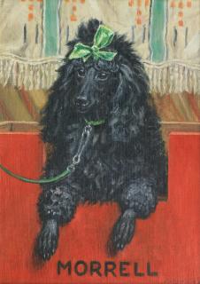 Frederick Thomas Daws - \'Morrell\' of Mannerhead - A Prized Poodle