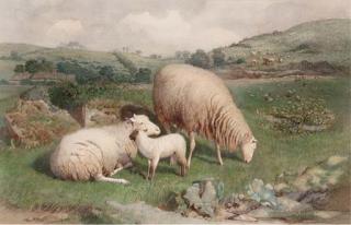 Frederick Williamson - Sheep grazing on the Sussex Downs
