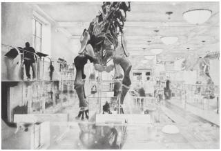 Fredrik Hofwander - \