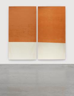 Fredrik Vaerslev - Untitled (Canopy Painting)