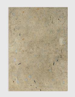 Fredrik Vaerslev - Untitled