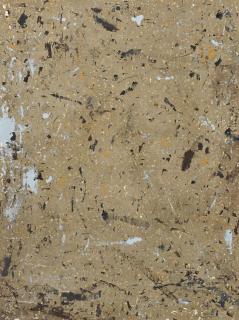 Fredrik Vaerslev - Untitled