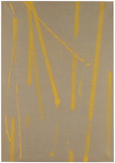 Fredrik Vaerslev - Untitled