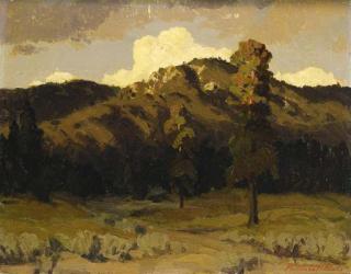 Fremont Ellis - Pines at Evening