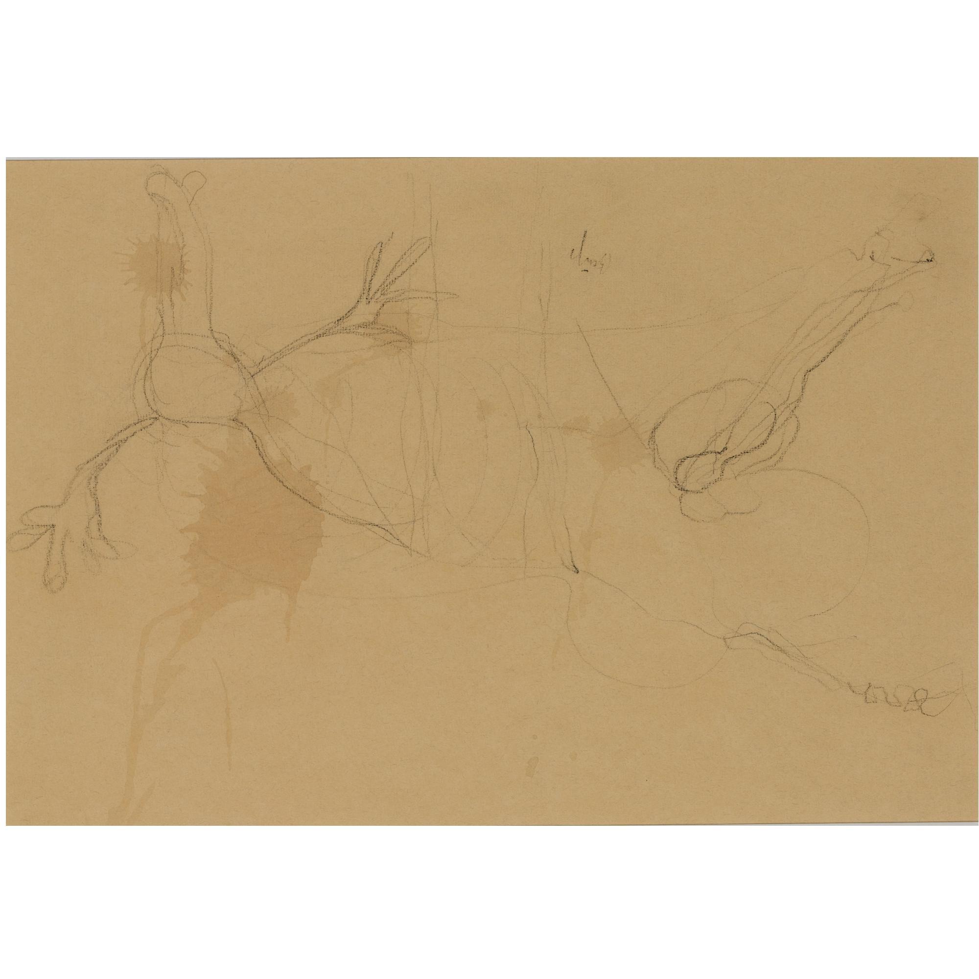 Frieda Hunziker - Rood - Bruin