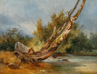 Friedrich Gauermann - Entwurzelter Baumstamm am Wasser