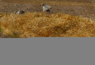 Friedrich Kallmorgen - Mäher