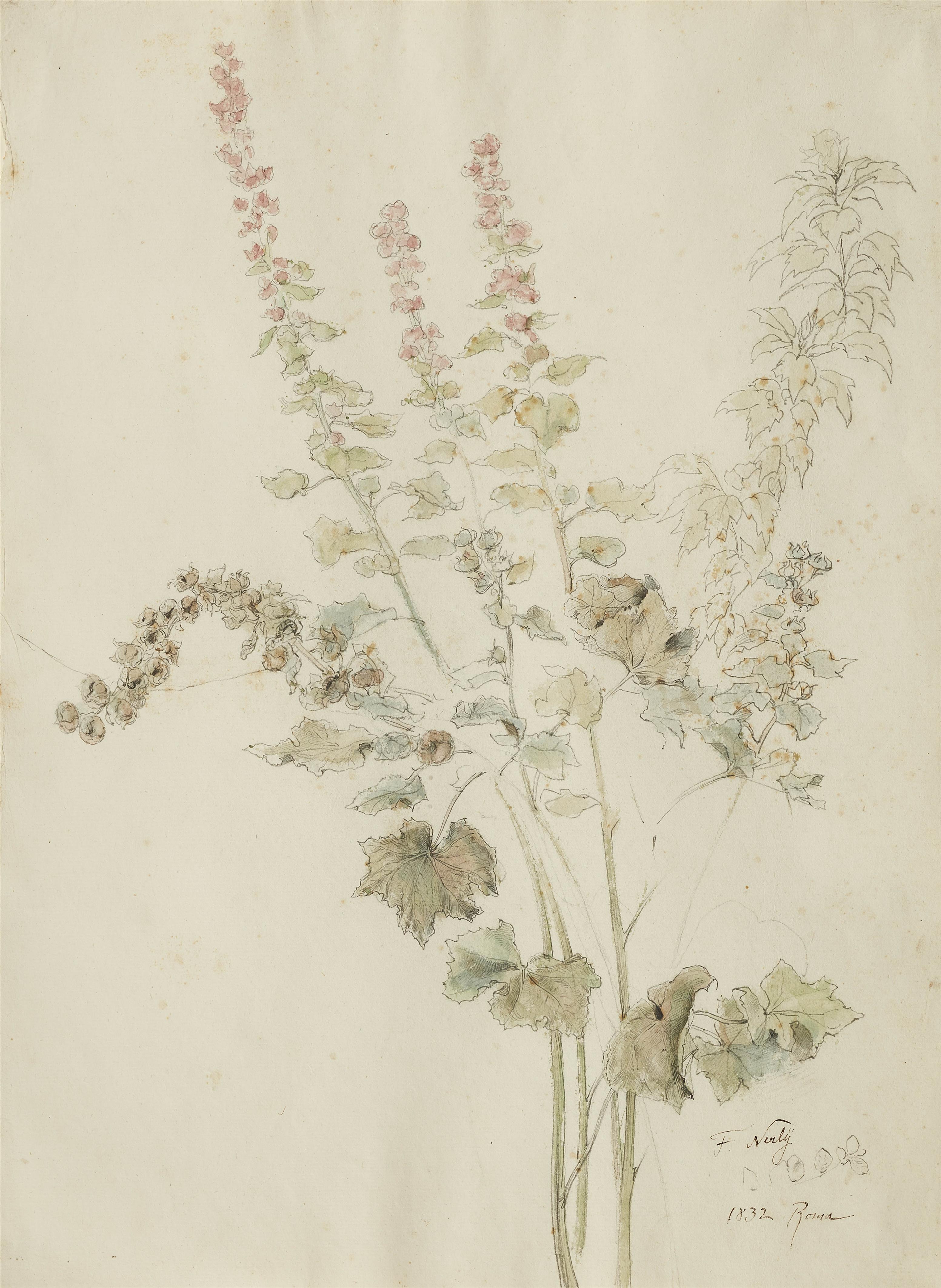 Friedrich Nerly - Herbstliche Malvenblüten