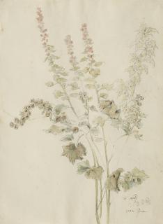 Friedrich Nerly - Herbstliche Malvenblüten