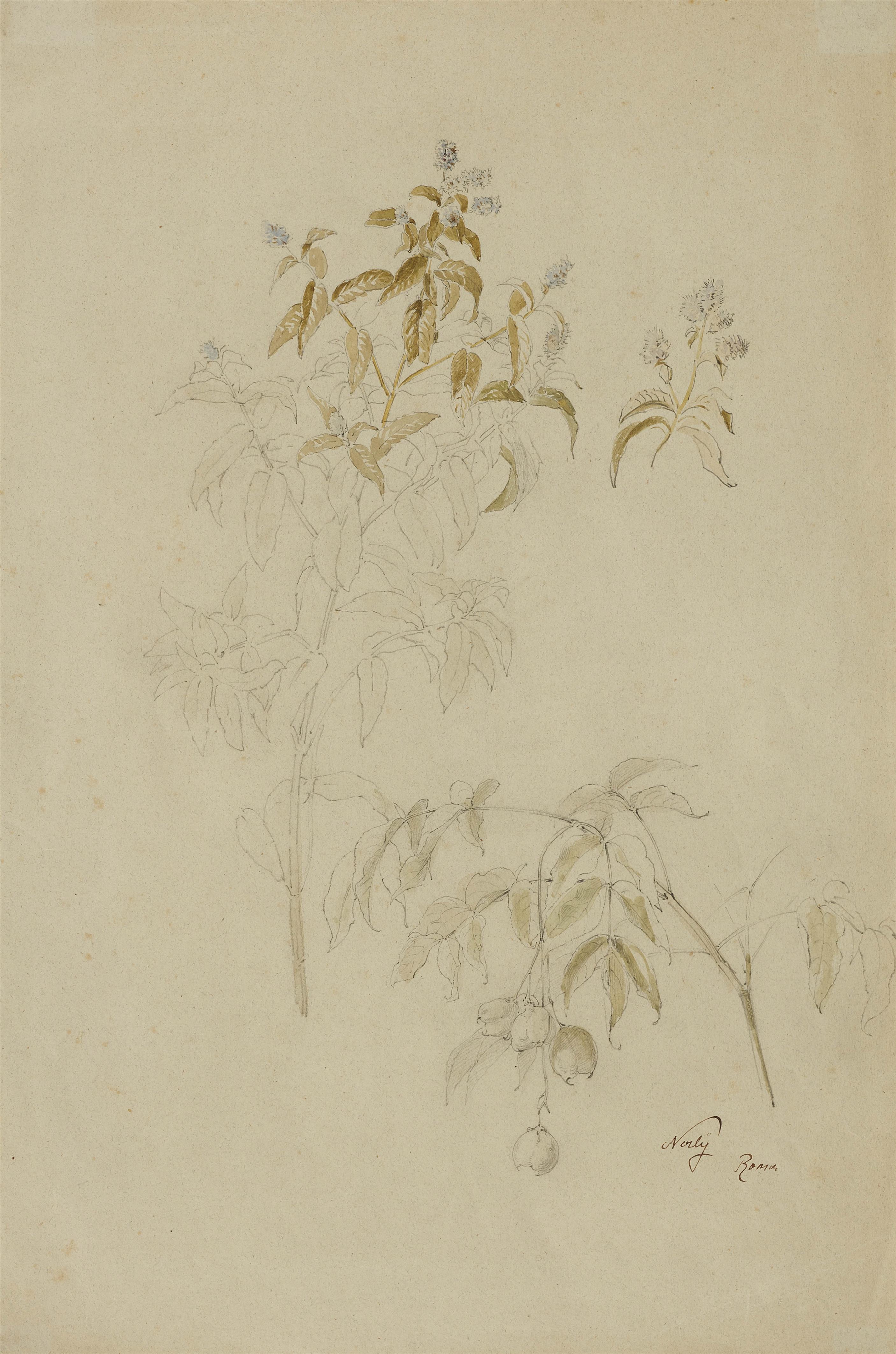 Friedrich Nerly - Mispeln und Lobelien