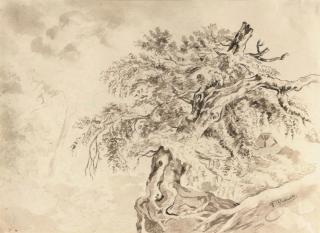 Friedrich Preller I - Study of a tree