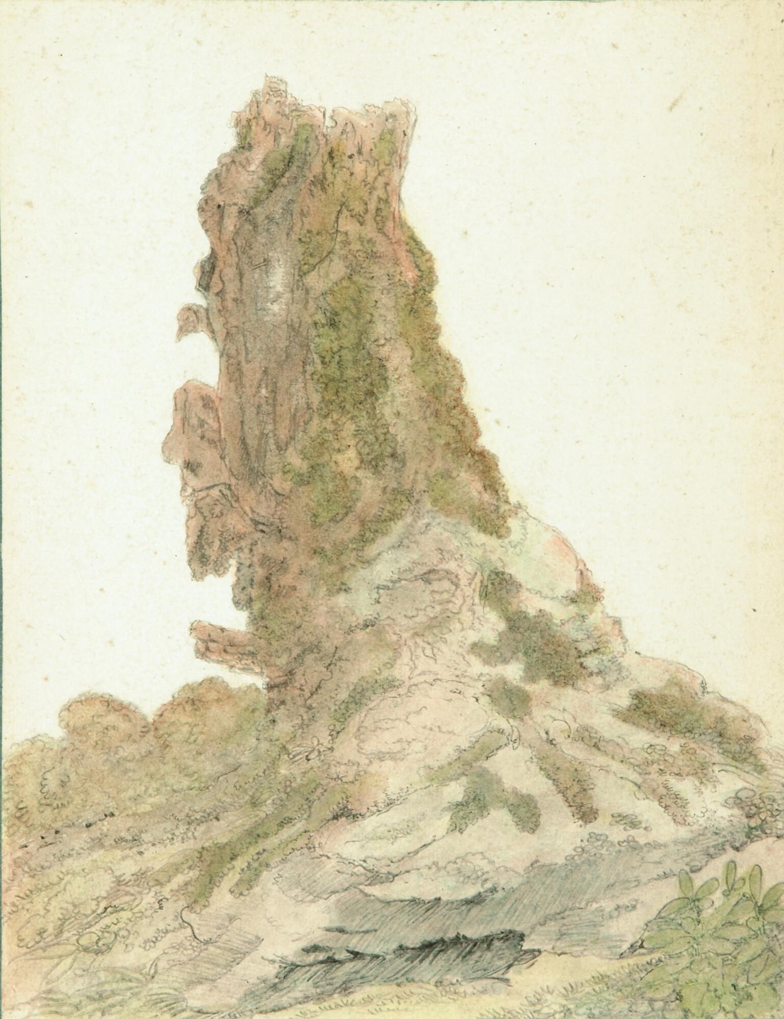 Friedrich Salathé - Baumstrunk.