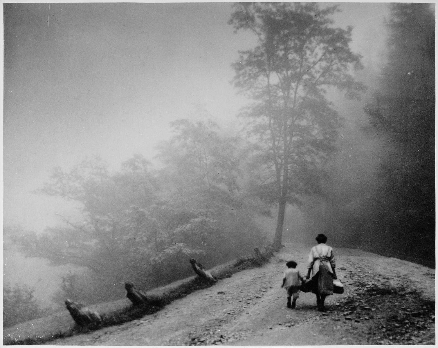 Friedrich Schmieding - Herbstnebel