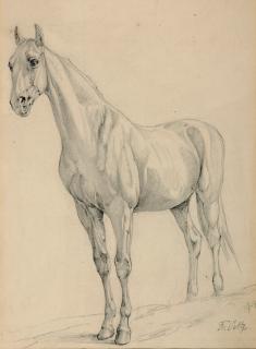 Friedrich Voltz - Ein edles Rennpferd.