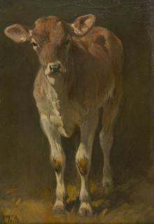 Friedrich Voltz - Stehendes Kälbchen.