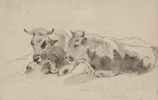 Friedrich Voltz - Zwei liegende Stiere.