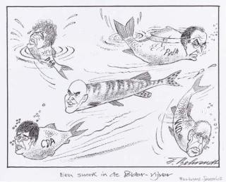 Fritz Behrendt - Een snoek in de poldervijver