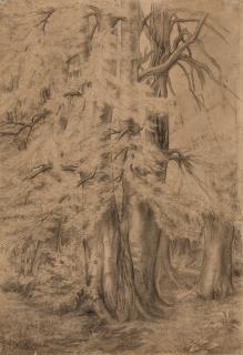 Fritz Boehle - Baumstudie.