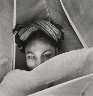 Fritz Henle - Nieves - Modell von Diego Rivera hinter dem Bananen-Blatt