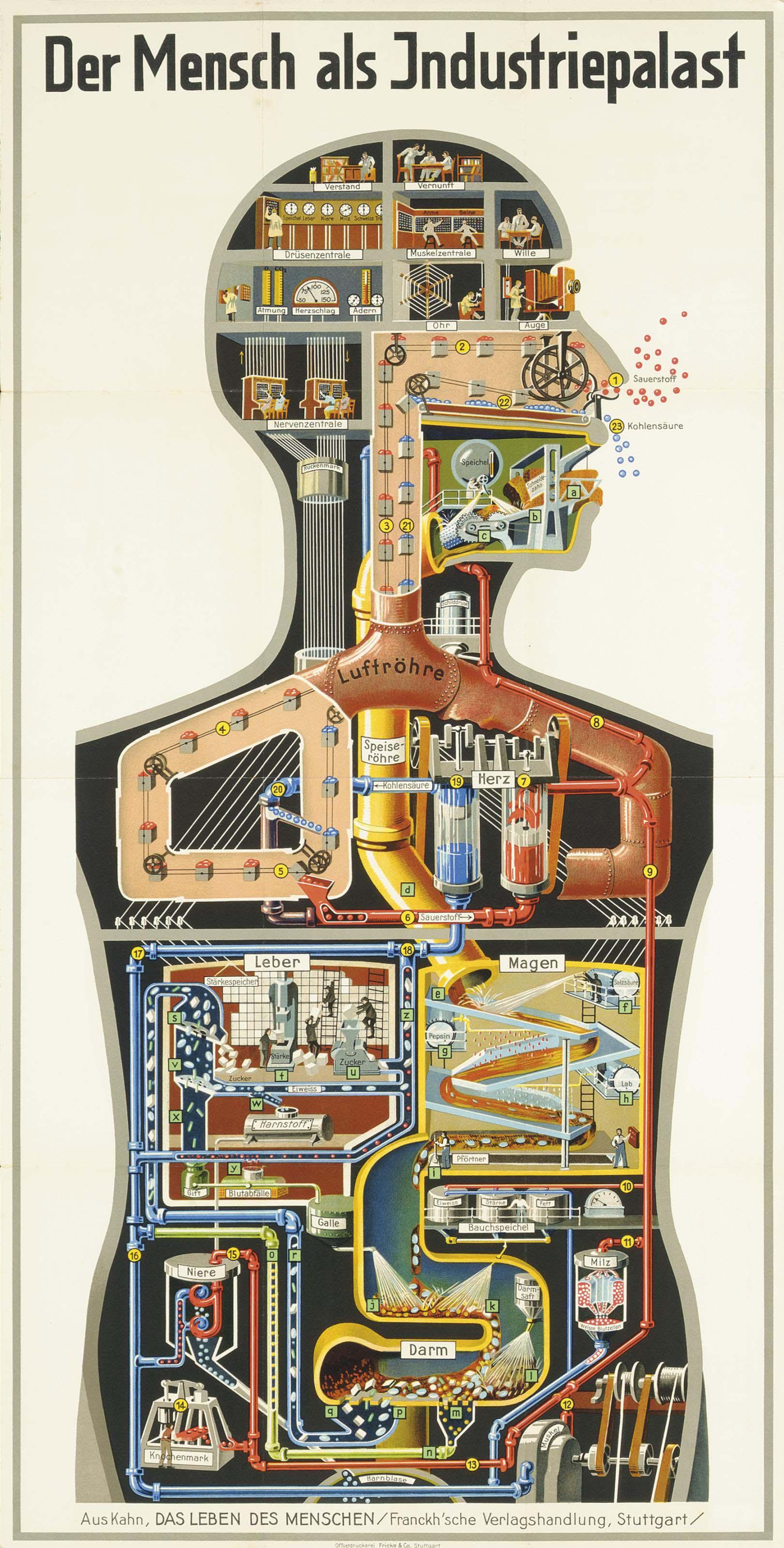 Fritz Kahn - Der Mensch Als Industriepalast (Man As Industrial Palace)