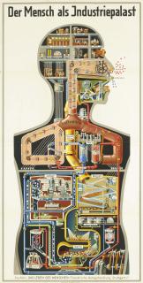 Fritz Kahn - Der Mensch Als Industriepalast (Man As Industrial Palace)