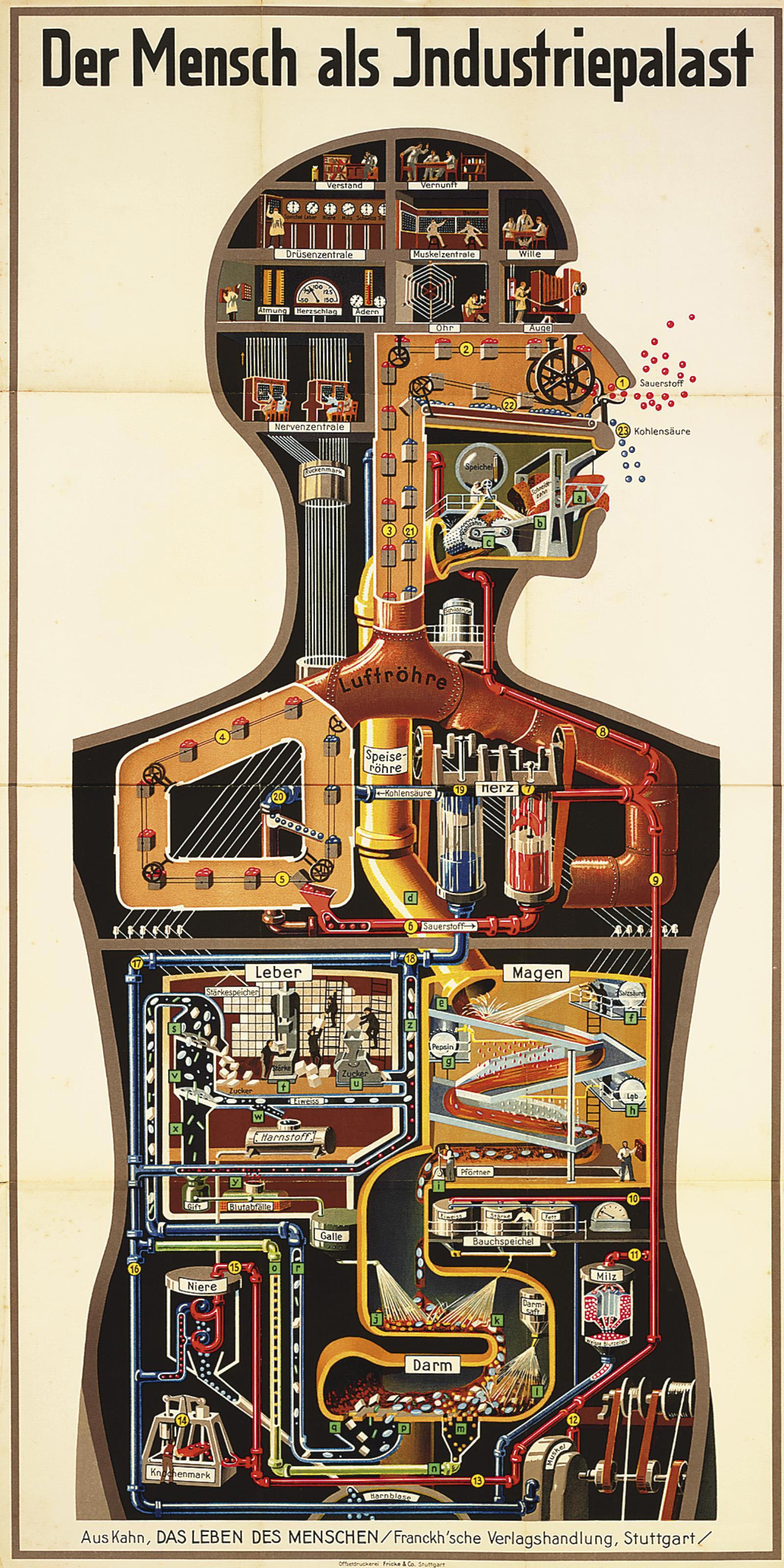 Fritz Kahn - Der Mensch Als Industriepalast