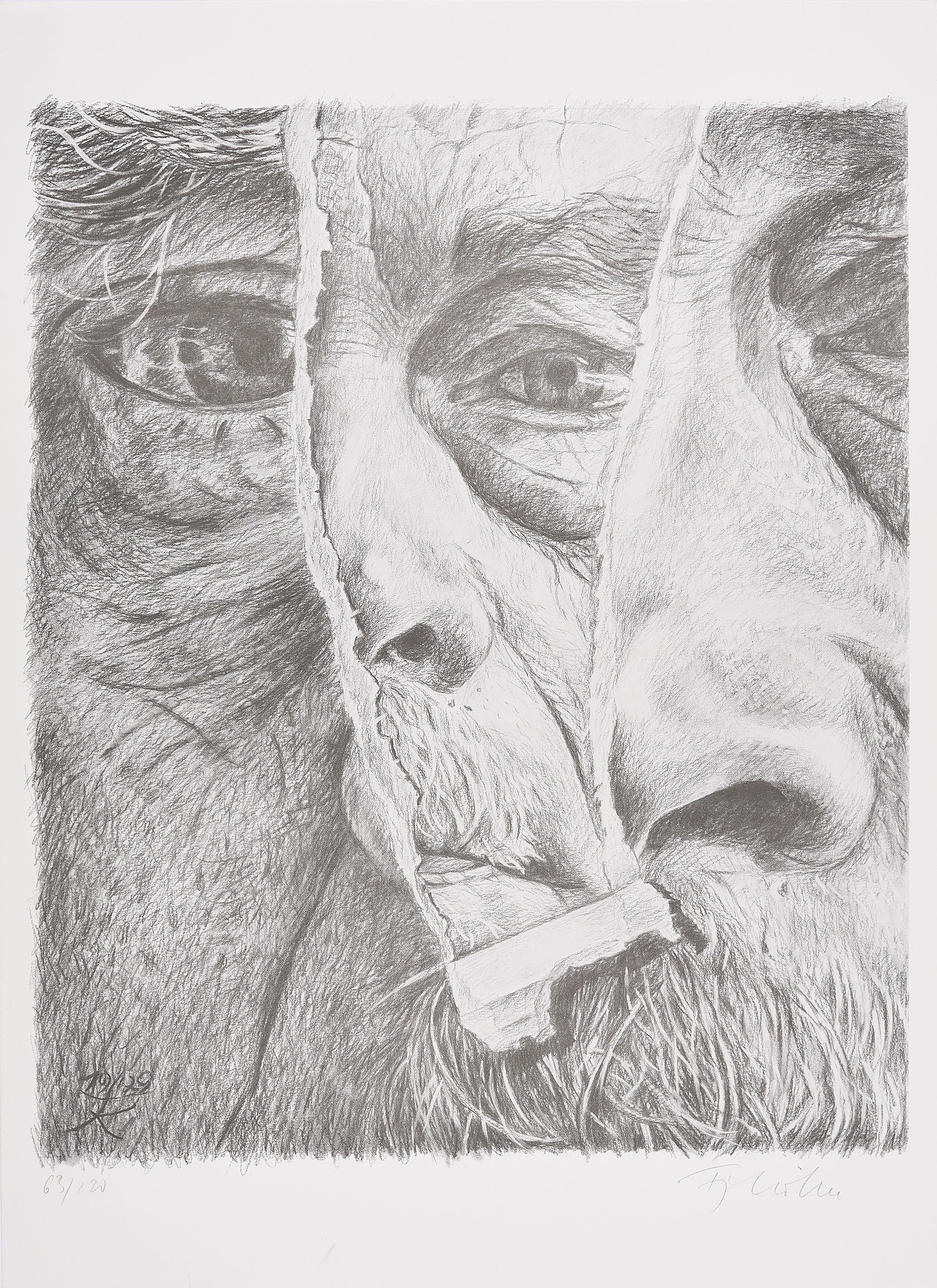 Fritz Köthe - Zerrissen.