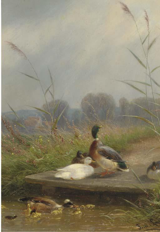 Fritz Lange - The first swim